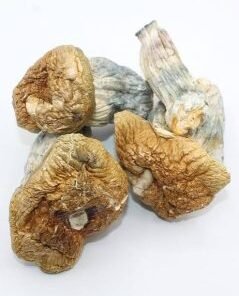 Melmac